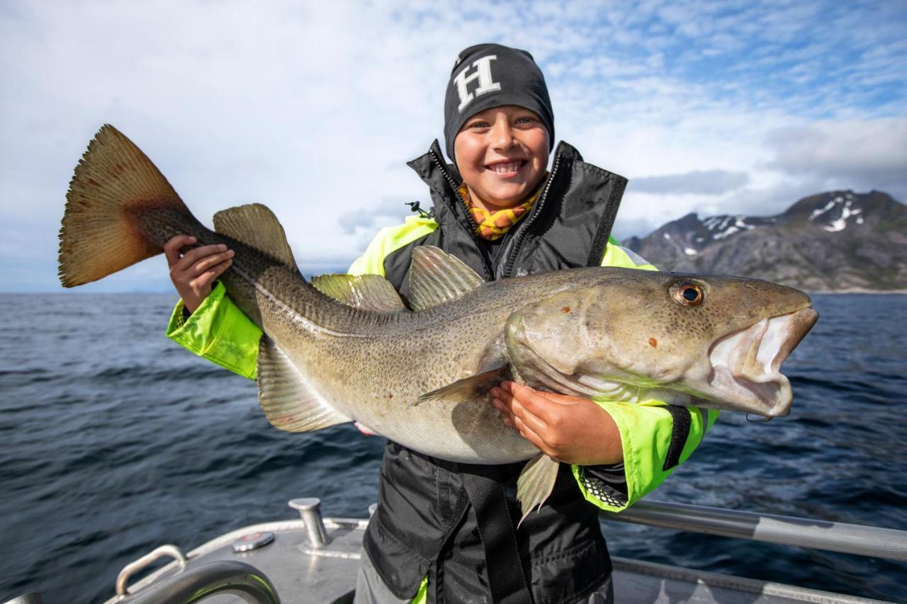 Lofoten Rorbu Lodge Offersoya Экстерьер фото